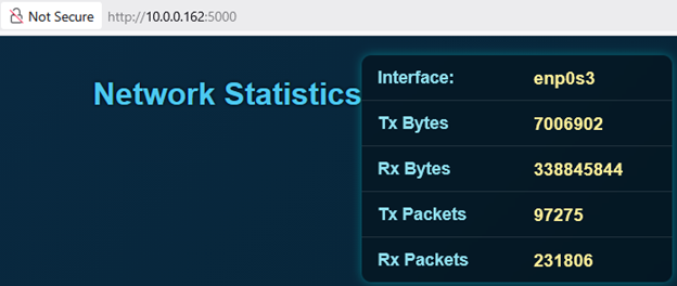 Network Interface Statistics